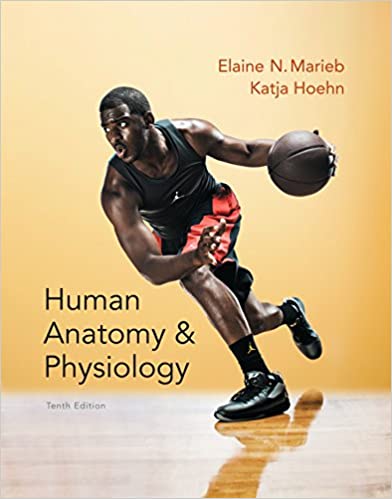 Human Anatomy & Physiology (Marieb, Human Anatomy & Physiology) (10th Edition) - Original PDF